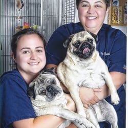 Prospect Ridge Veterinary Hospital - Dr. Cappiello, right, office manager, Patti Jurgensen, left