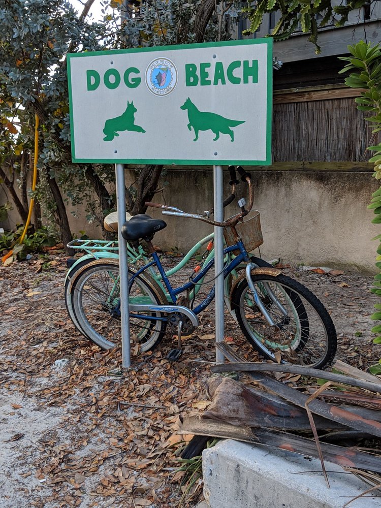 KEY WEST DOG BEACH 30 Photos & 22 Reviews Beaches Vernon St And