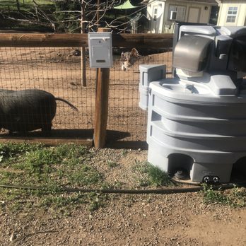 Alpine Acres Sanctuary Farm - More hand washing stations - Ranches Near Me - Alpine, California Alpine Acres Sanctuary Farm - More hand washing stations - Ranches Near Me - Alpine, California