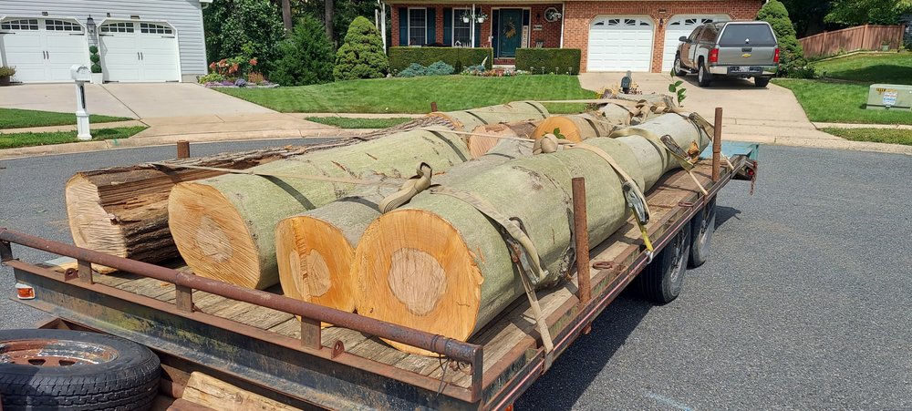 Cleartree - tree service in Joppa, MD