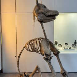 Museo de Arte Popular