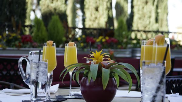 CLUB ONE CASINO - Updated February 2026 - 213 Photos & 180 Reviews ...