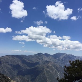 Mount Baden-Powell Trail - Hiking Near Me