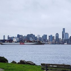 Hamilton Viewpoint Park - Below on Alki, pouring rain (12/27/23)