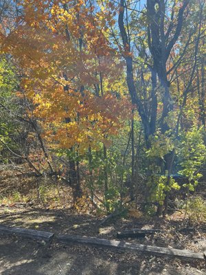 Conway Scenic Railroad by null
