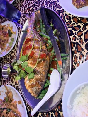 Night + Market Sahm by null