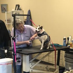 THE BEST 10 Pet Groomers in Mount Pleasant, SC - Last Updated May 2021 - Yelp