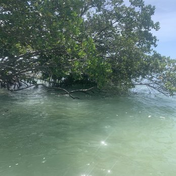 Paddle The Florida Keys - Rafting/Kayaking Near Me - Tavernier, Florida Paddle The Florida Keys - Rafting/Kayaking Near Me - Tavernier, Florida