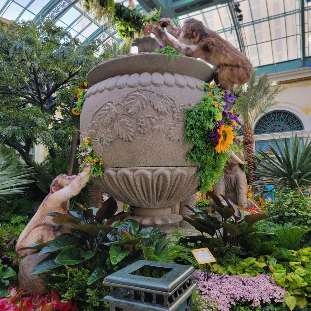 Bellagio - Hotels Near Me - Las Vegas, Nevada