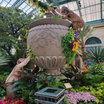 Bellagio - Hotels Near Me - Las Vegas, Nevada Bellagio - Hotels Near Me - Las Vegas, Nevada