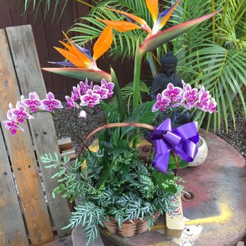 Alluvion - Orchid and Bird of Paradise planting basket - Nurseries & Gardening Near Me - Haleiwa, Hawaii