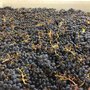 Photo of Fall Line Winery