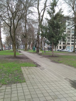 North Park Blocks by null