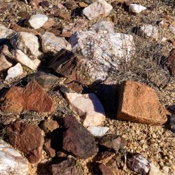 Black Canyon National Recreation Trail - Great rock hunting near Crown King Road