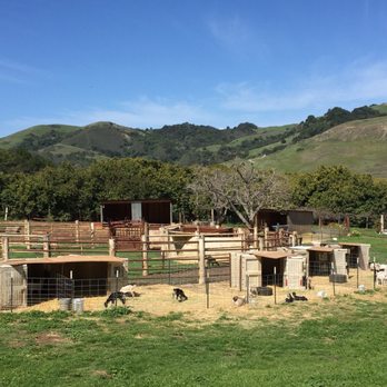 Stepladder Ranch & Creamery - Ranches Near Me - Cambria, California Stepladder Ranch & Creamery - Ranches Near Me - Cambria, California