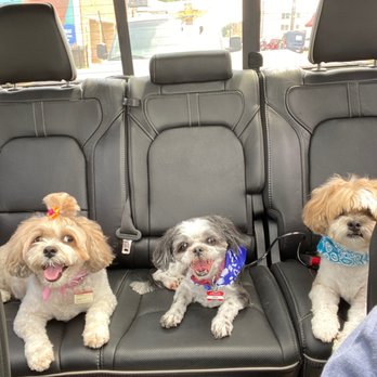 Rub-A-Dub Dog - Pet Groomers Near Me - Chicago, Illinois