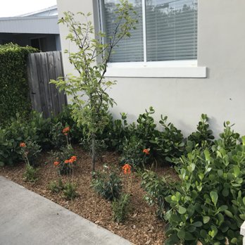 Cairo Landscaping & Tree Service - Maintenance and Design - Tree Services Near Me Cairo Landscaping & Tree Service - Maintenance and Design - Tree Services Near Me