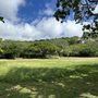 Photo of Mauumae Nature Park