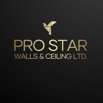 Pro Star Walls & Ceiling - logo - General Contractors Near Me - Surrey, British Columbia