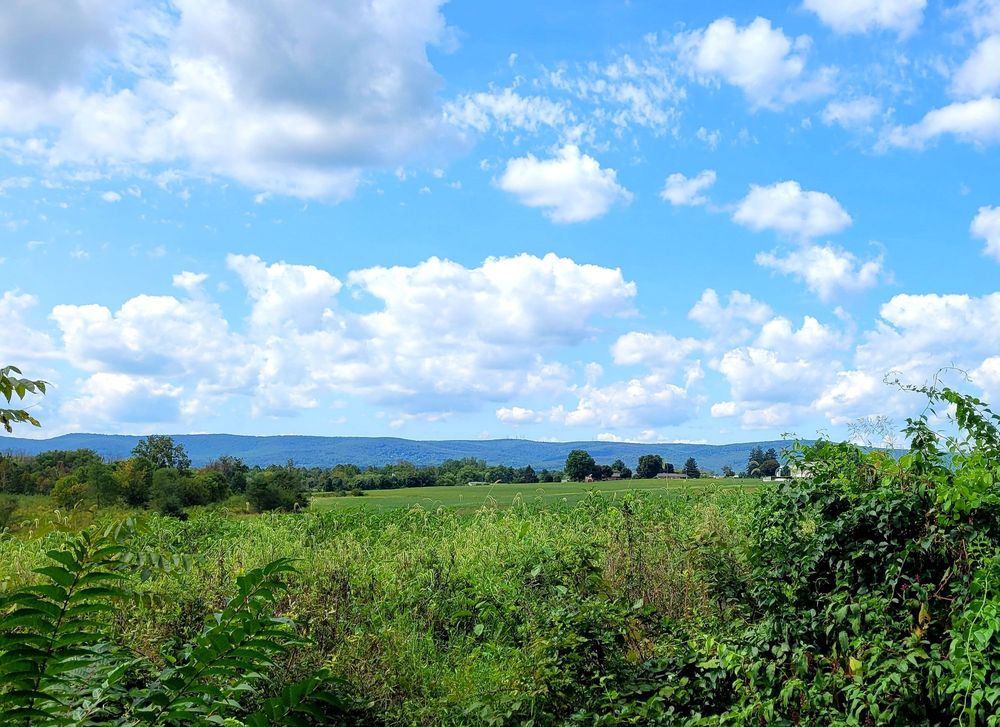 WALKERSVILLE SOUTHERN RAILROAD 105 Photos & 24 Reviews 34 W