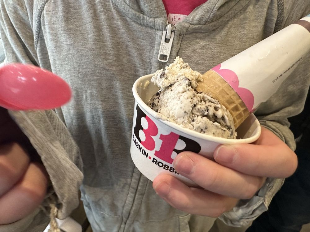Baskin Robbins Logo