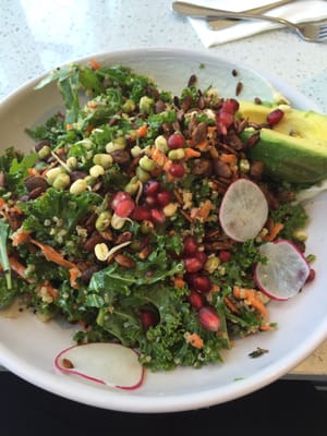 The Boathouse Palm Beach by null