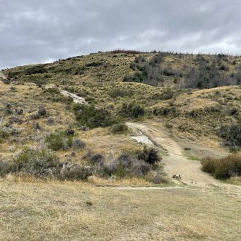 Queenstown Hill - Parks Near Me - Otago, OTA