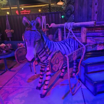 Cantina Tequila - The best communication came from this guy. He couldn't walk away while you talked to him. - Mexican Near Me - Henderson, Nevada Cantina Tequila - The best communication came from this guy. He couldn't walk away while you talked to him. - Mexican Near Me - Henderson, Nevada
