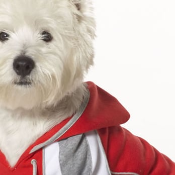 Tisol - Pet Stores Near Me - Burnaby, British Columbia Tisol - Pet Stores Near Me - Burnaby, British Columbia