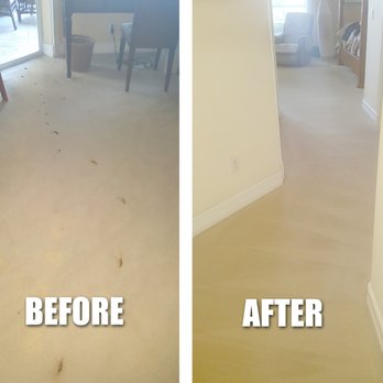 Eco-Green Cleaning Solutions - Carpet Cleaning Near Me - Naples, Florida Eco-Green Cleaning Solutions - Carpet Cleaning Near Me - Naples, Florida