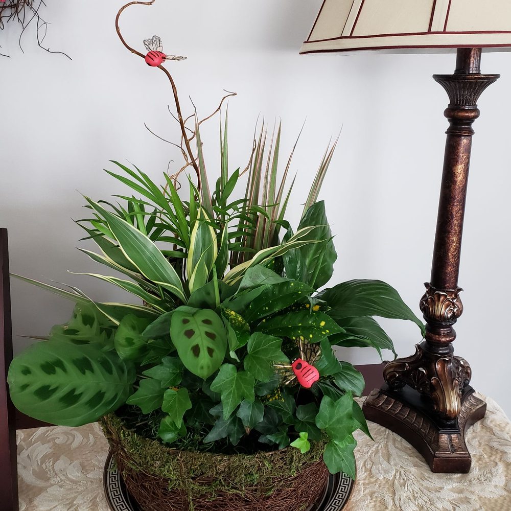 Colonial Bouquet - St Patrick's day arrangement. - Florists Near Me - Lakehurst, New Jersey Colonial Bouquet - St Patrick's day arrangement. - Florists Near Me - Lakehurst, New Jersey