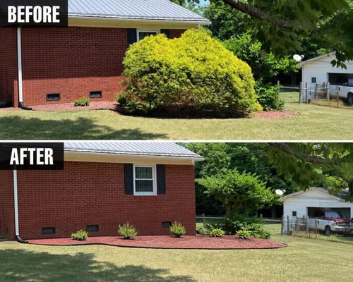 Precision Tree Care on Yelp