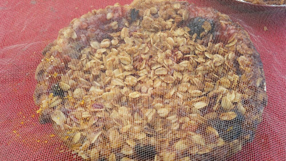 Black Bird Pies Logo