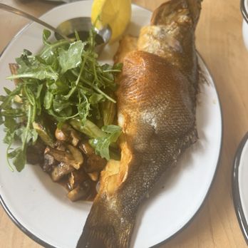 little shucker - Branzino - Seafood Near Me - San Francisco, California little shucker - Branzino - Seafood Near Me - San Francisco, California