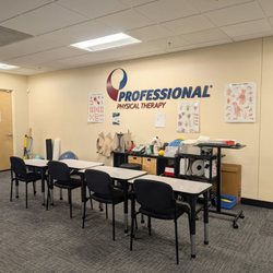 Professional Physical Therapy