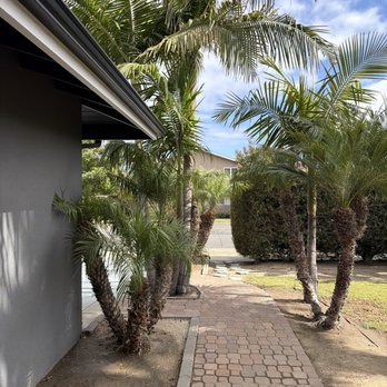 Premium Landscape & More - Tree Services Near Me Premium Landscape & More - Tree Services Near Me
