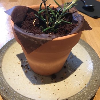 Kokkaku - Tiramisu work Konami: looks like a plant.  You'll wish a bigger plant came to your table! - New American Near Me - Seattle, Washington