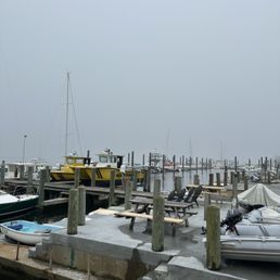 Harbor