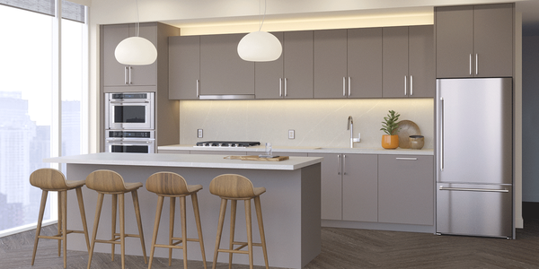 1717 Webster by null