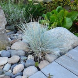 Southwest Garden Supplies Ltd
