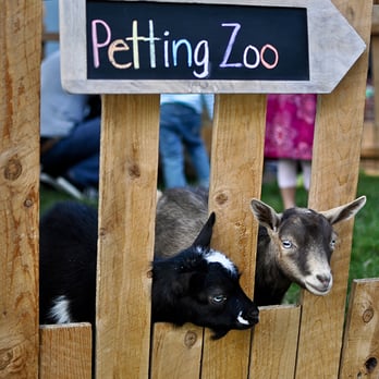 Netties Party Pals - Petting Zoo! - Party & Event Planning Near Me - Hemet, California Netties Party Pals - Petting Zoo! - Party & Event Planning Near Me - Hemet, California