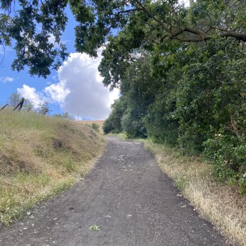 Bernal Gulnac Joice Ranch - Mostly up hill - Ranches Near Me - San Jose, California