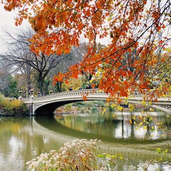 Central Park Conservancy - Parks Near Me - New York, New York