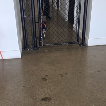 petbar Boutique Arcadia - Pet Groomers Near Me - Phoenix, Arizona