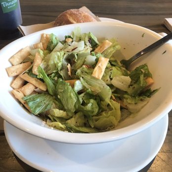 Panera Bread - What was supposed to be an Asian dressed salad - Soup Near Me - Avondale, Arizona