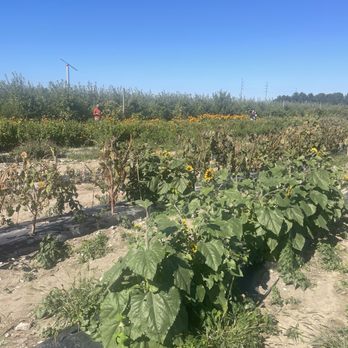 Tuttle Orchards - Fruits & Veggies Near Me - Greenfield, Indiana