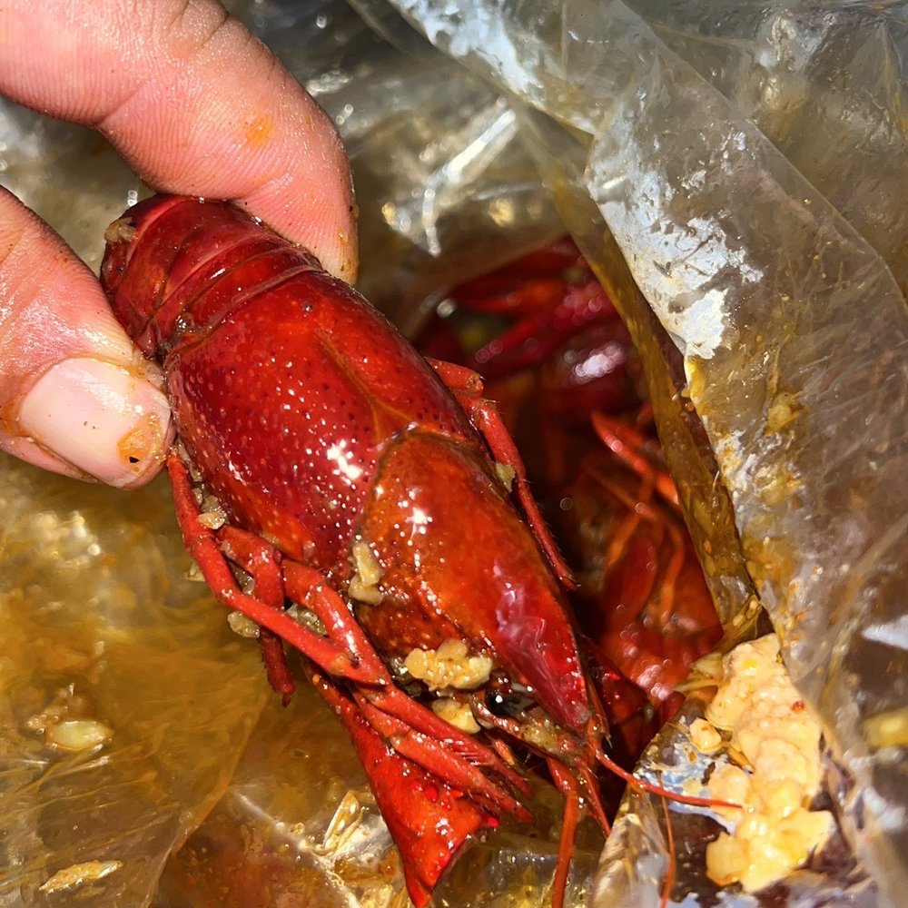 LTK Crawfish - Didn't have enough butter or garlic .... It was average at best - Cajun/Creole Near Me - Houston, Texas LTK Crawfish - Didn't have enough butter or garlic .... It was average at best - Cajun/Creole Near Me - Houston, Texas