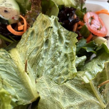 Green Leafs Juice Bar - Shrimp wrap - Juice Bars & Smoothies Near Me - Sunnyside, New York
