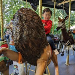 Conservation Carousel - All smiles
