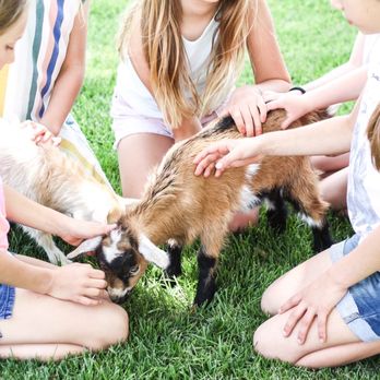 Dixie’s Mobile Mini Farm - Petting Zoos Near Me Dixie’s Mobile Mini Farm - Petting Zoos Near Me